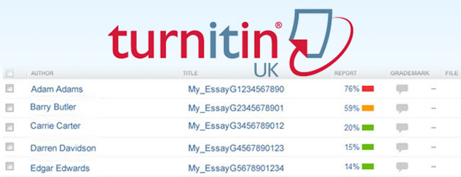 turnitin similarity how much is too much